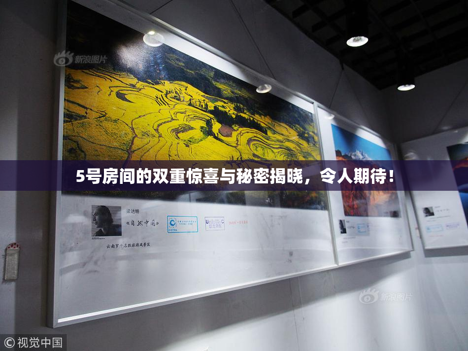 5号房间的双重惊喜与秘密揭晓，令人期待！