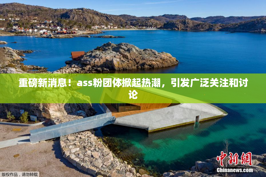 重磅新消息！ass粉团体掀起热潮，引发广泛关注和讨论