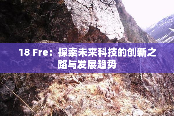 18 Fre：探索未来科技的创新之路与发展趋势