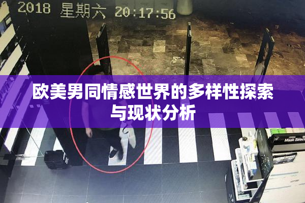 欧美男同情感世界的多样性探索与现状分析