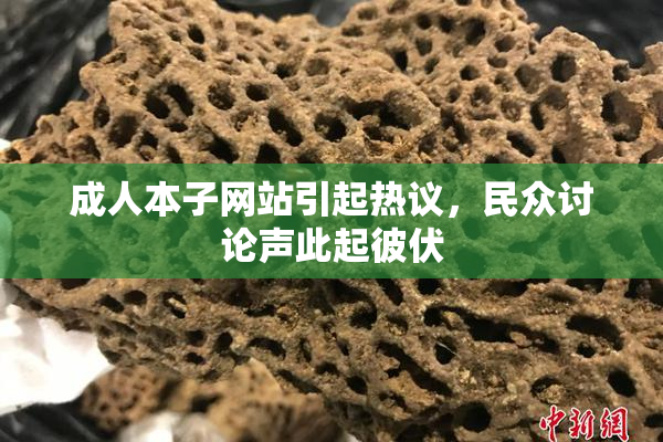 成人本子网站引起热议，民众讨论声此起彼伏