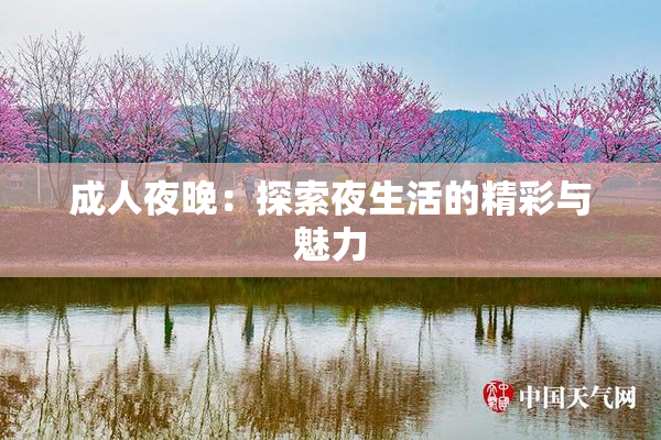 成人夜晚：探索夜生活的精彩与魅力
