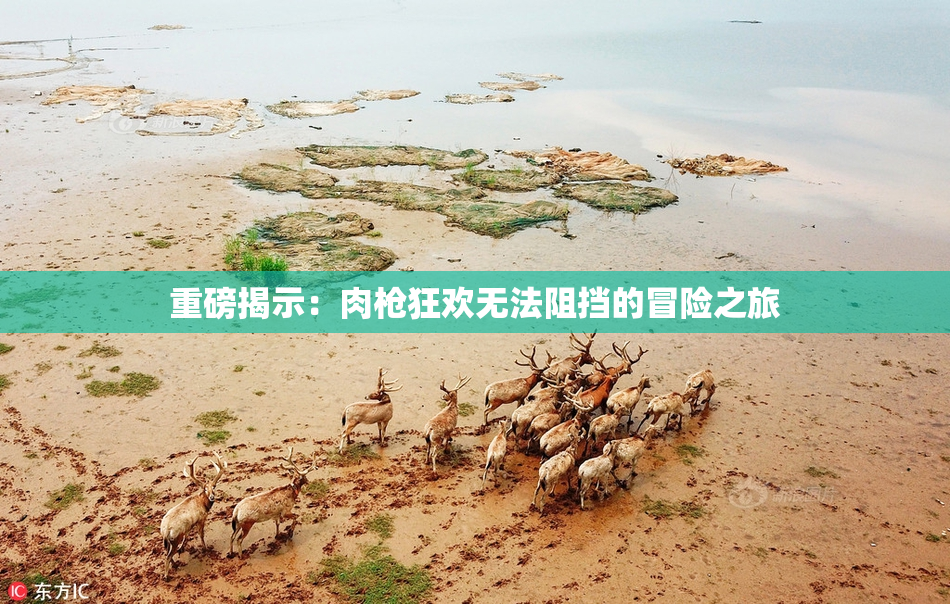 重磅揭示：肉枪狂欢无法阻挡的冒险之旅