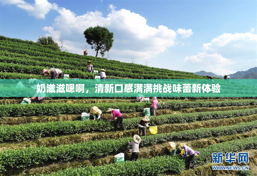 奶滋滋嗯啊，清新口感满满挑战味蕾新体验