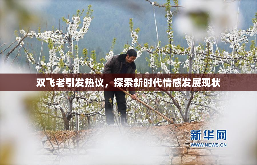 双飞老引发热议，探索新时代情感发展现状