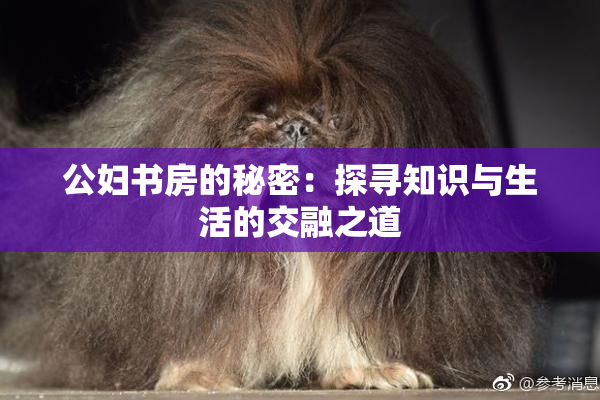 公妇书房的秘密：探寻知识与生活的交融之道