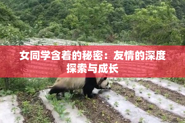 女同学含着的秘密：友情的深度探索与成长