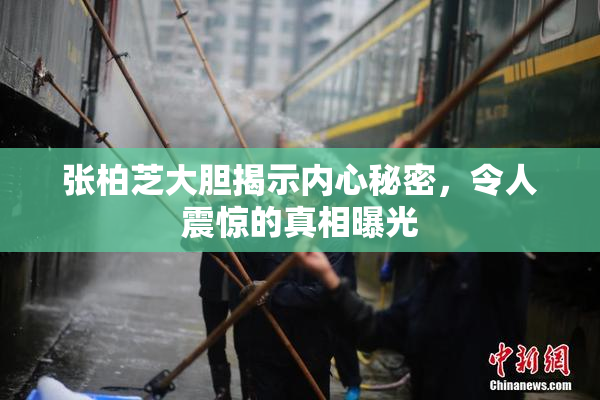 张柏芝大胆揭示内心秘密，令人震惊的真相曝光