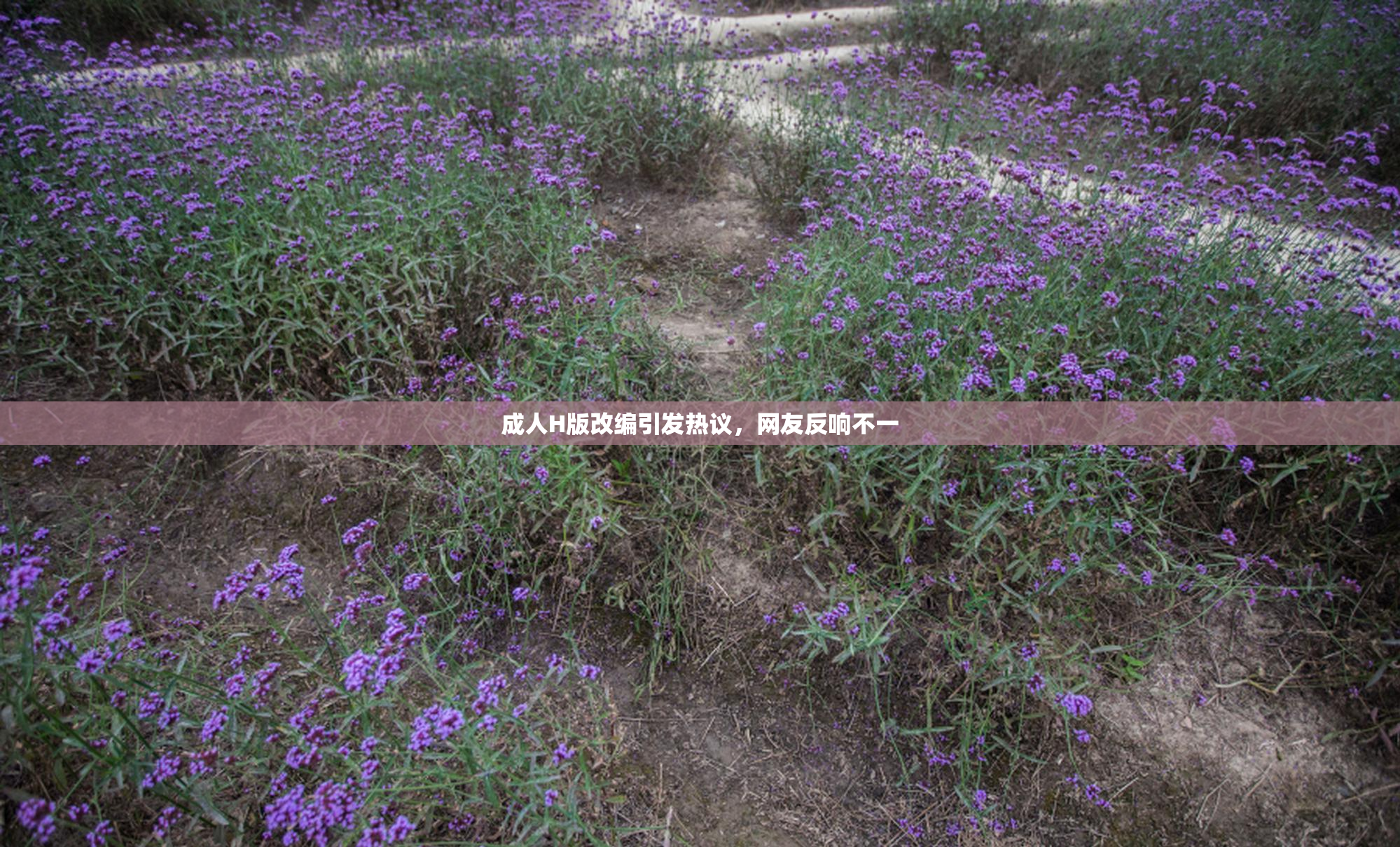 成人H版改编引发热议，网友反响不一