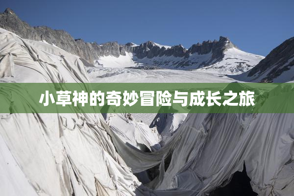 小草神的奇妙冒险与成长之旅