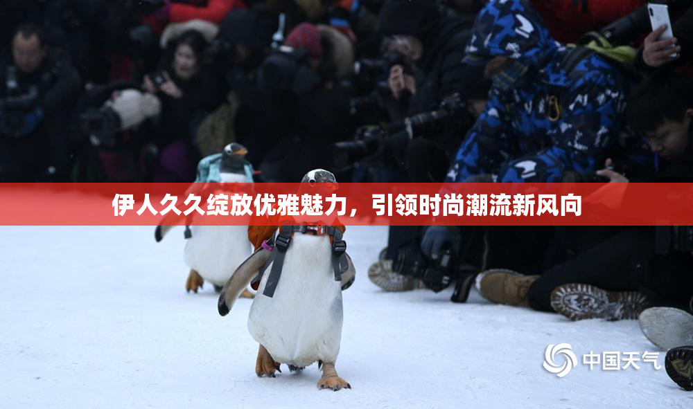 伊人久久绽放优雅魅力，引领时尚潮流新风向