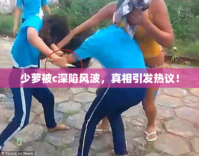 少萝被c深陷风波，真相引发热议！
