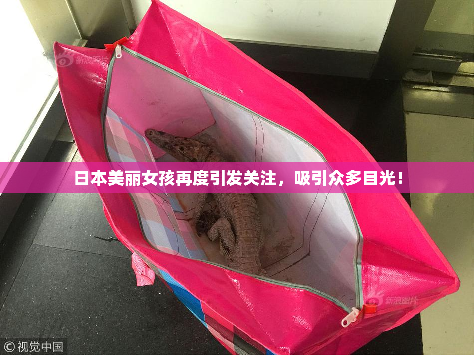日本美丽女孩再度引发关注，吸引众多目光！