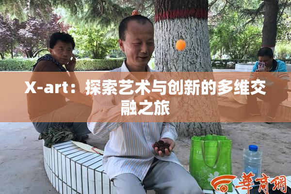 X-art：探索艺术与创新的多维交融之旅