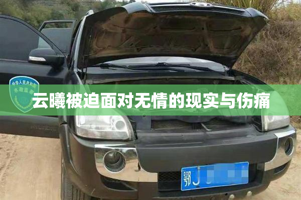 云曦被迫面对无情的现实与伤痛