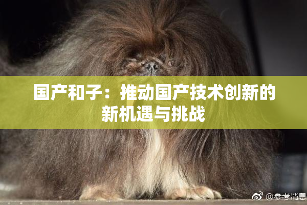 国产和子：推动国产技术创新的新机遇与挑战