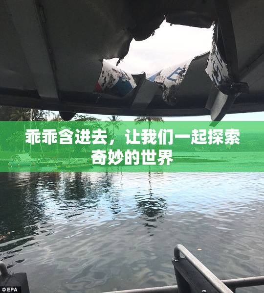 乖乖含进去，让我们一起探索奇妙的世界