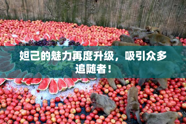 妲己的魅力再度升级，吸引众多追随者！