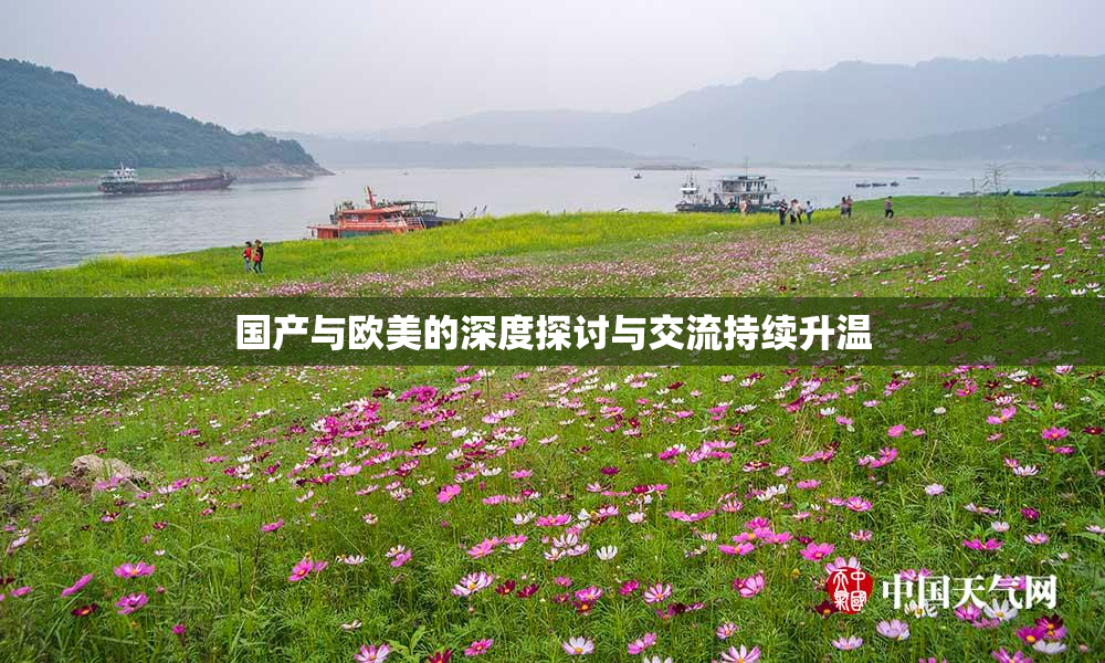 国产与欧美的深度探讨与交流持续升温