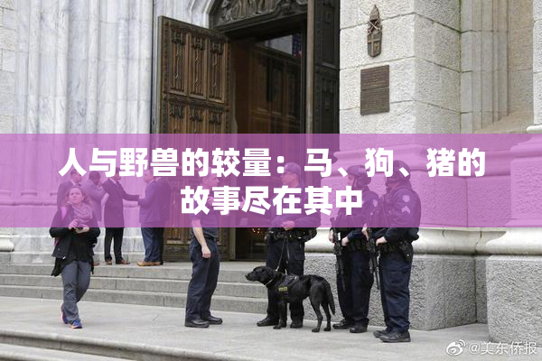 人与野兽的较量：马、狗、猪的故事尽在其中