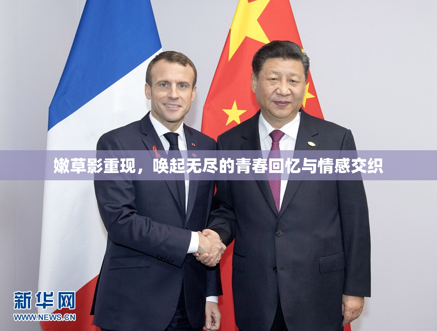 嫩草影重现，唤起无尽的青春回忆与情感交织