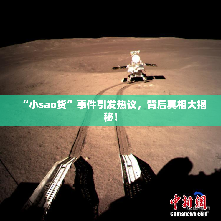 “小sao货”事件引发热议，背后真相大揭秘！