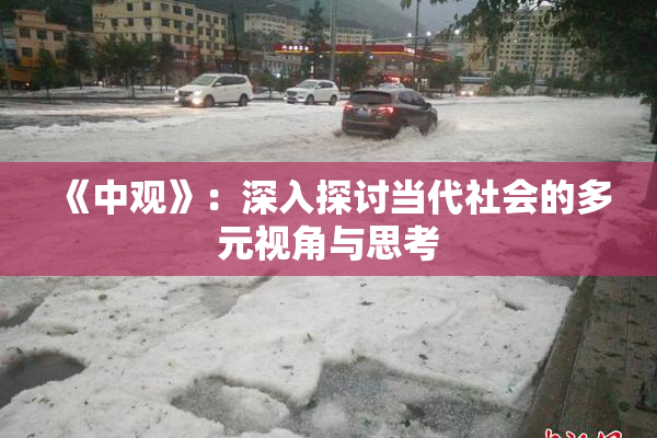 《中观》：深入探讨当代社会的多元视角与思考