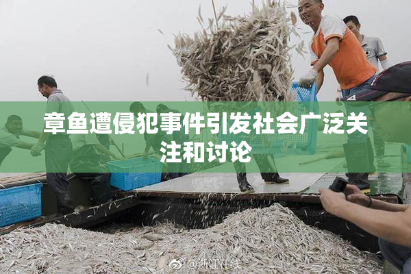 章鱼遭侵犯事件引发社会广泛关注和讨论
