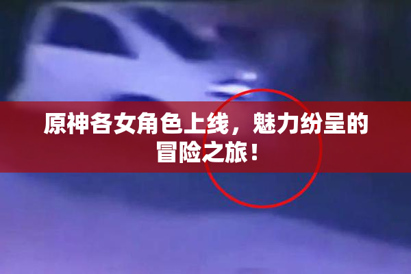 原神各女角色上线，魅力纷呈的冒险之旅！