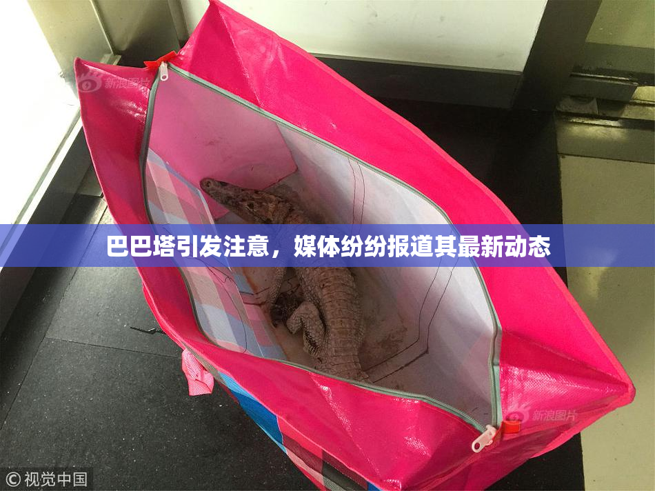 巴巴塔引发注意，媒体纷纷报道其最新动态
