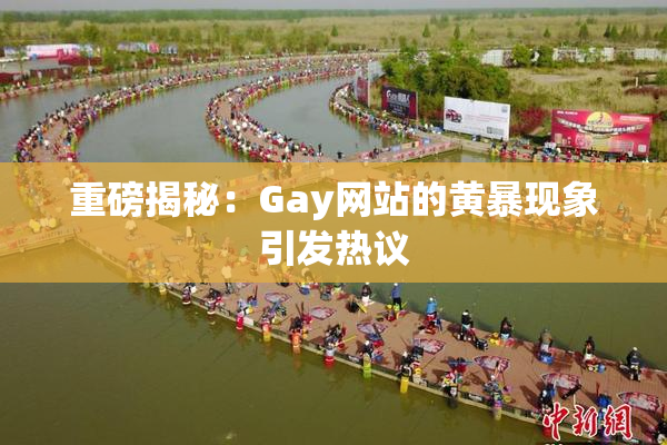 重磅揭秘：Gay网站的黄暴现象引发热议