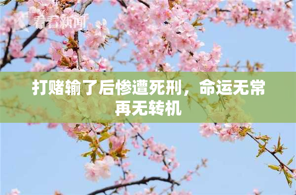 打赌输了后惨遭死刑，命运无常再无转机