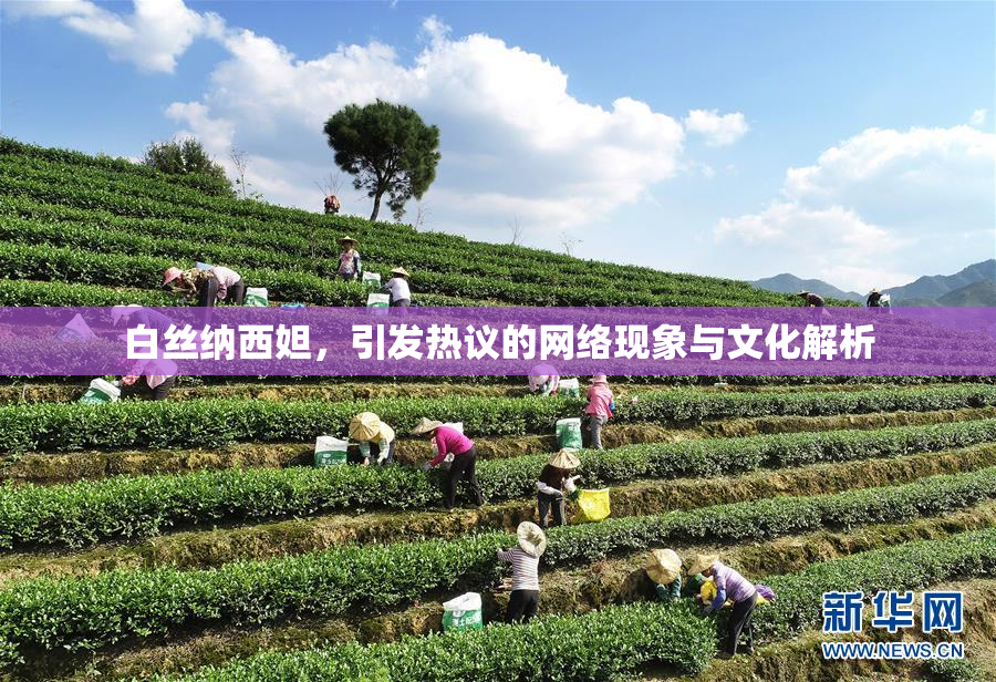 白丝纳西妲，引发热议的网络现象与文化解析