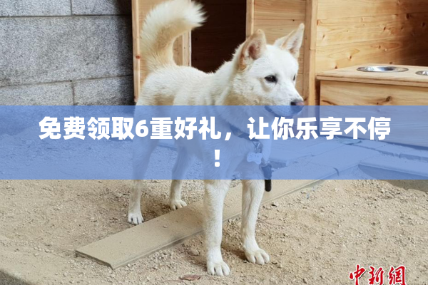 免费领取6重好礼，让你乐享不停！
