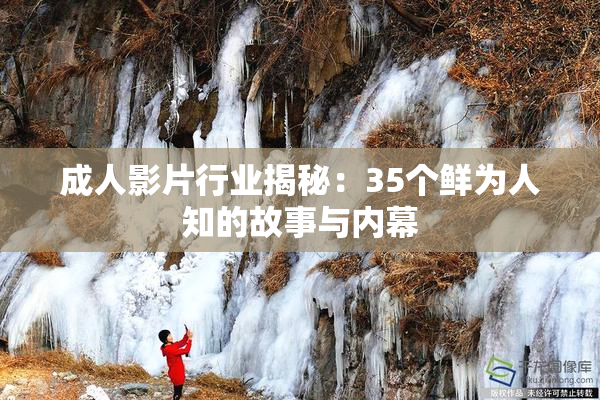 成人影片行业揭秘：35个鲜为人知的故事与内幕