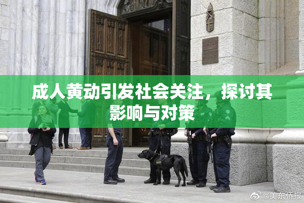 成人黄动引发社会关注，探讨其影响与对策