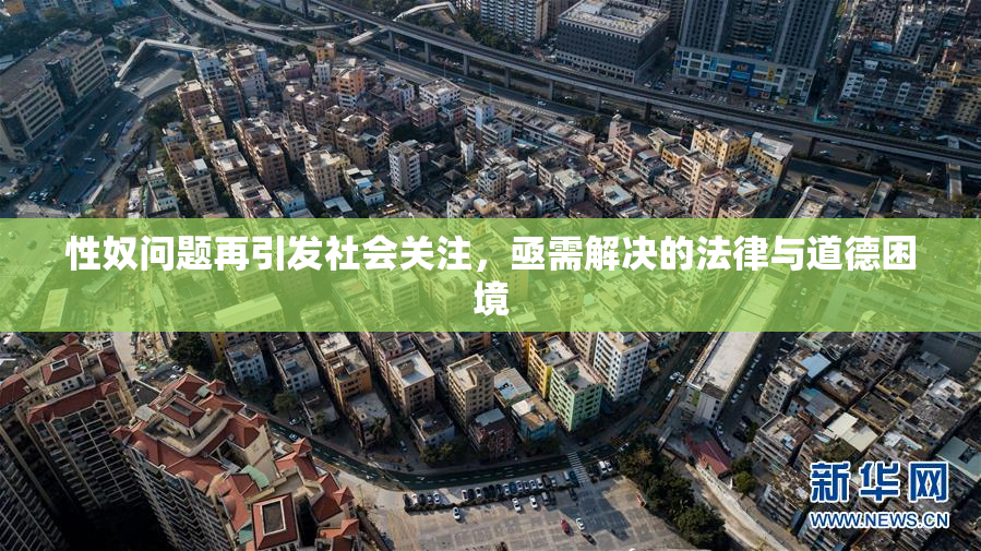性奴问题再引发社会关注，亟需解决的法律与道德困境