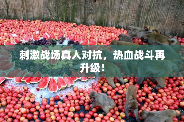 刺激战场真人对抗，热血战斗再升级！