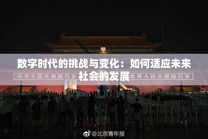 数字时代的挑战与变化：如何适应未来社会的发展