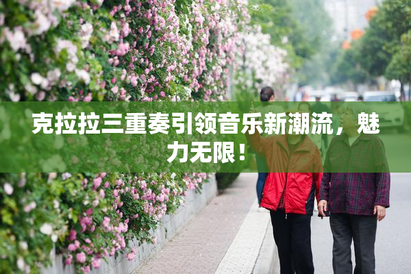 克拉拉三重奏引领音乐新潮流，魅力无限！