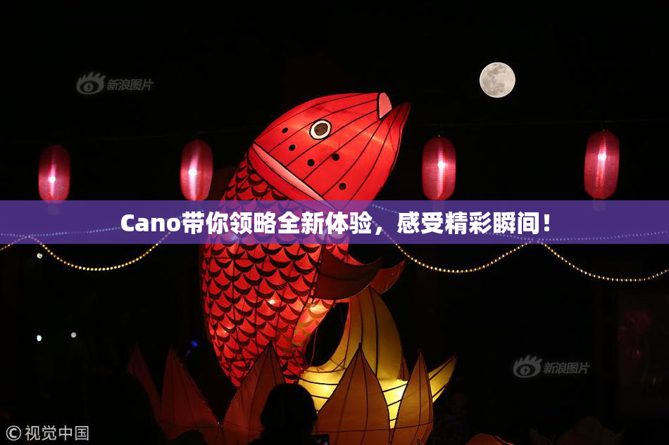 Cano带你领略全新体验，感受精彩瞬间！