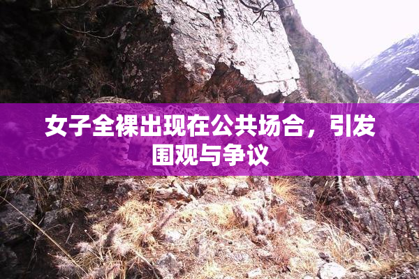 女子全裸出现在公共场合，引发围观与争议