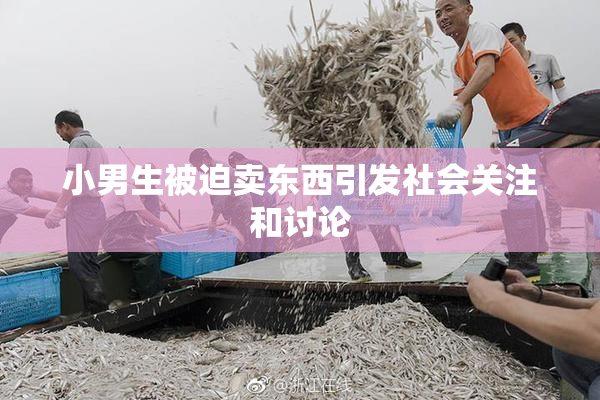 小男生被迫卖东西引发社会关注和讨论