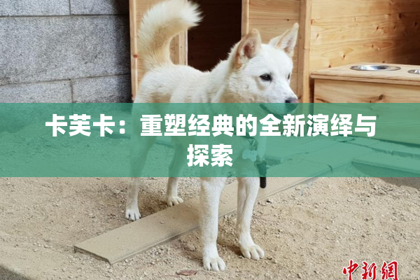 卡芙卡：重塑经典的全新演绎与探索
