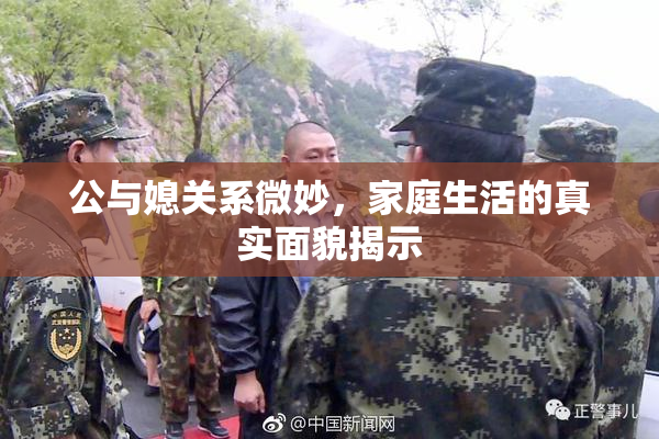 公与媳关系微妙，家庭生活的真实面貌揭示