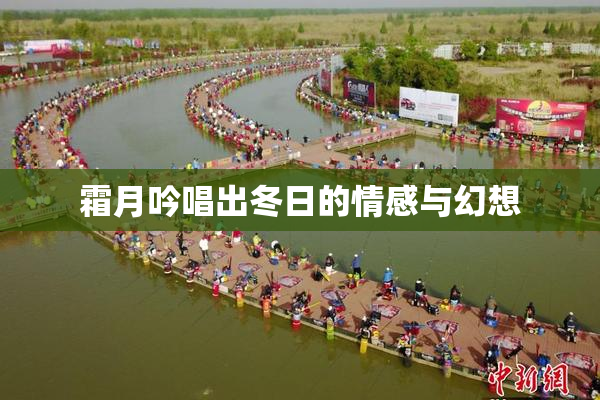 霜月吟唱出冬日的情感与幻想
