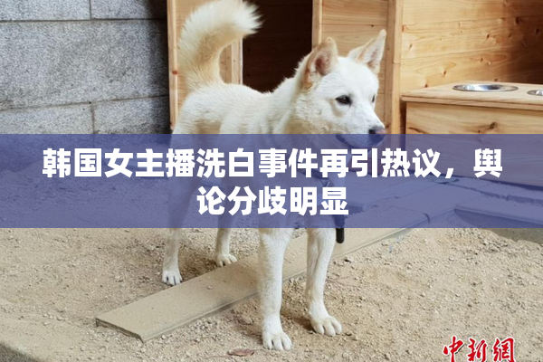 韩国女主播洗白事件再引热议，舆论分歧明显