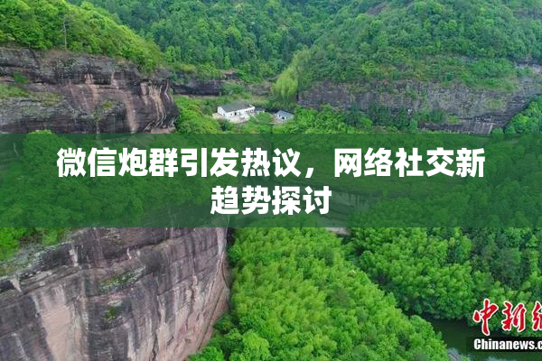 微信炮群引发热议，网络社交新趋势探讨