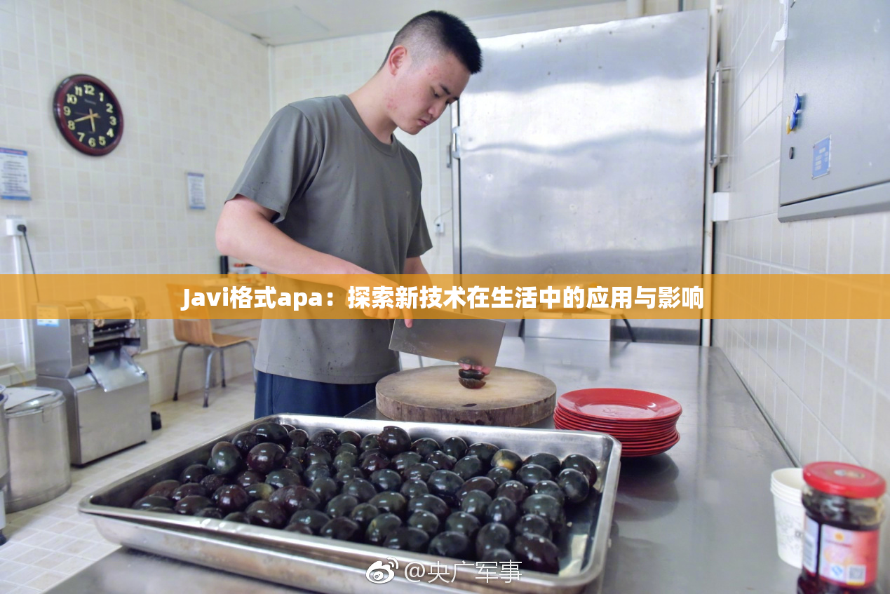 Javi格式apa：探索新技术在生活中的应用与影响