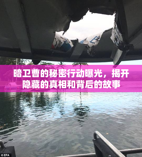 暗卫曹的秘密行动曝光，揭开隐藏的真相和背后的故事